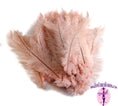 Load image into Gallery viewer, Ostrich Feather Spad Plumes 16-20" (Baby Pink) - Buy Ostrich Feathers
