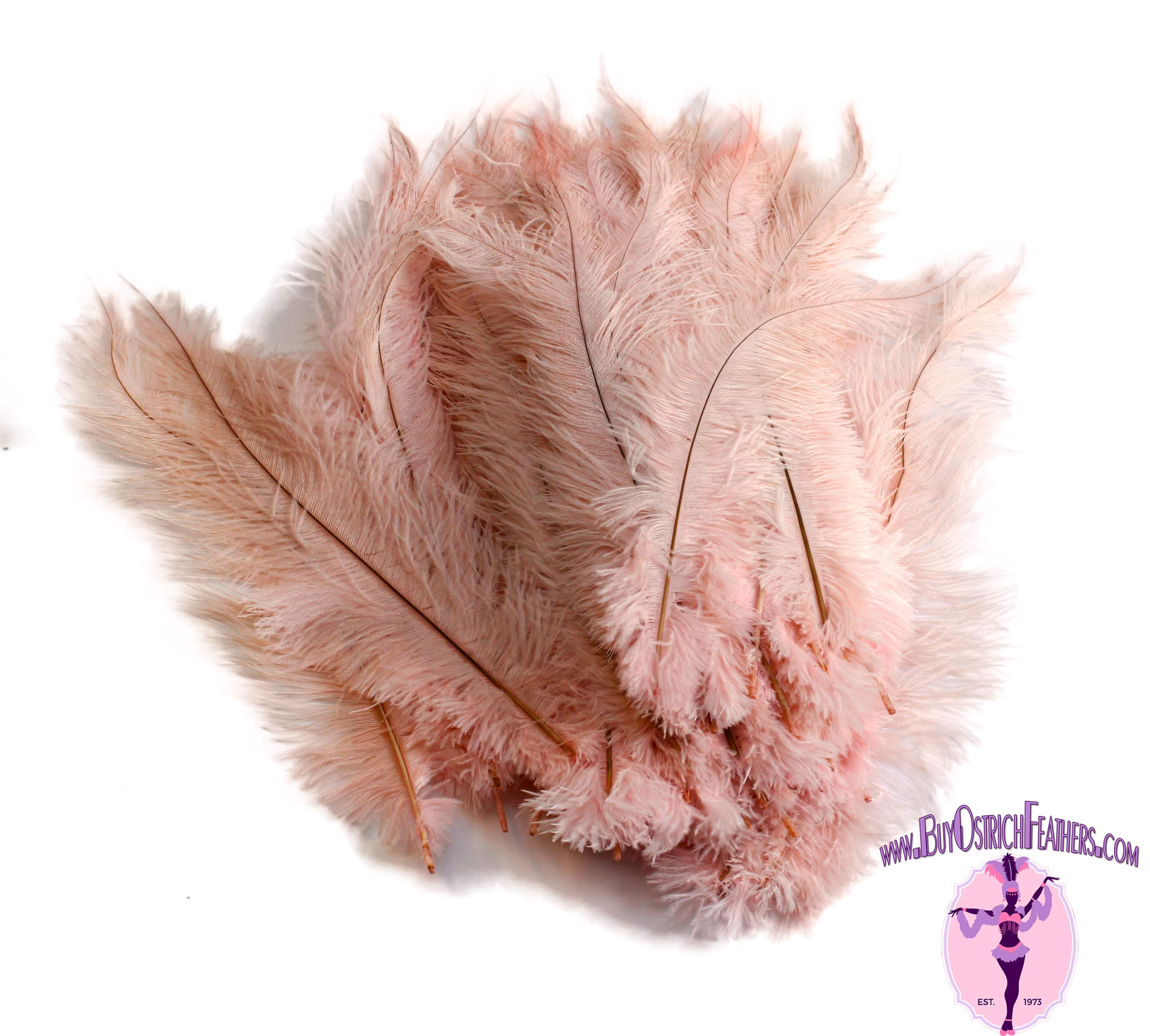 Ostrich Feather Spad Plumes 16-20 (Baby Pink)