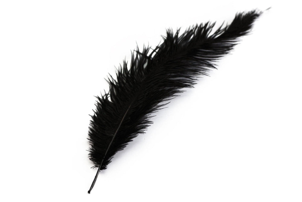 
                  
                    Ostrich Feather Spad Plumes 16-20" (Black) - Buy Ostrich Feathers
                  
                