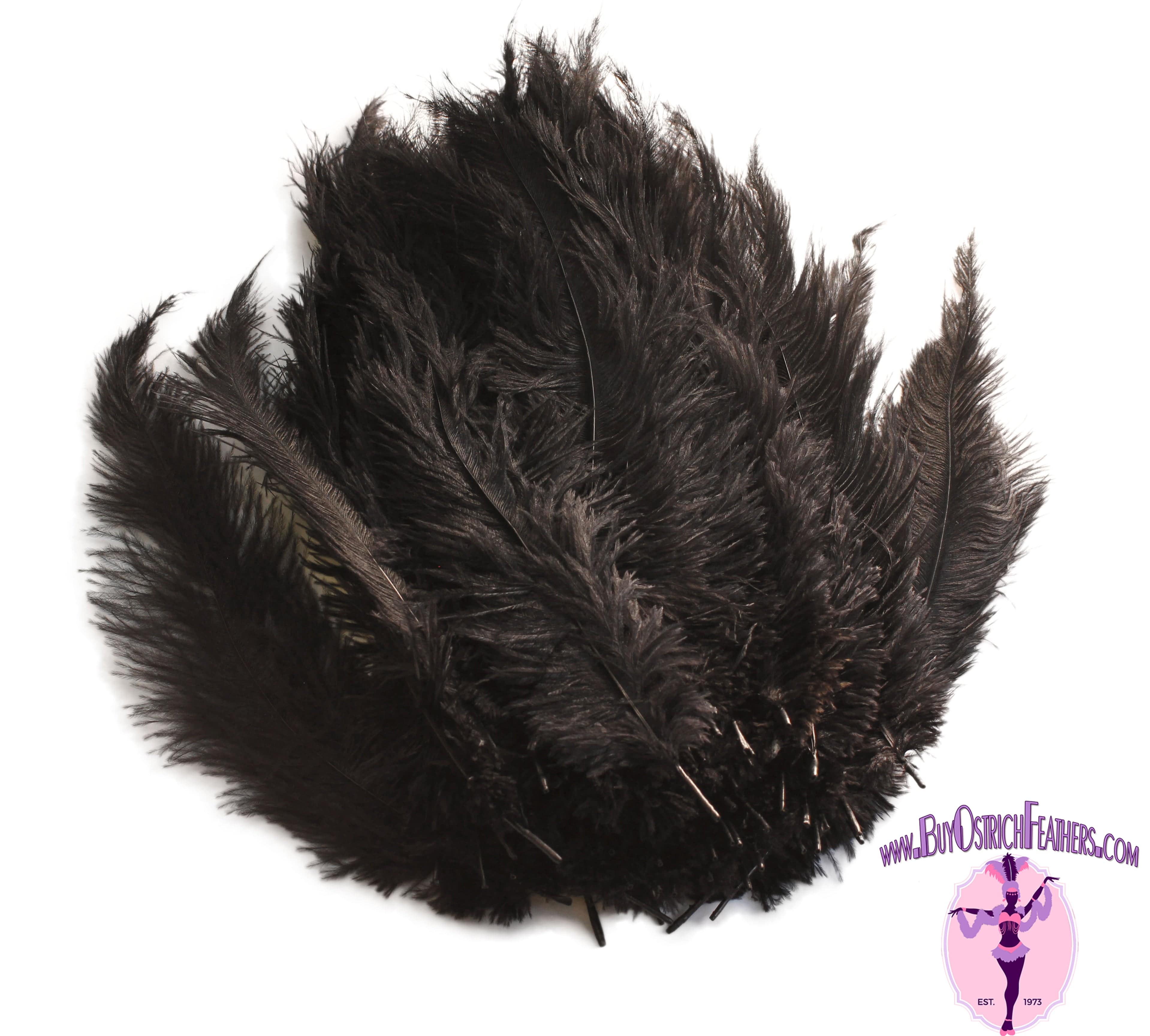 Silver Ostrich Feather Tips, 16-18