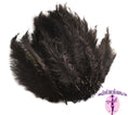 Load image into Gallery viewer, Ostrich Feather Rental 16-20" (Black) - 250pcs - Buy Ostrich Feathers
