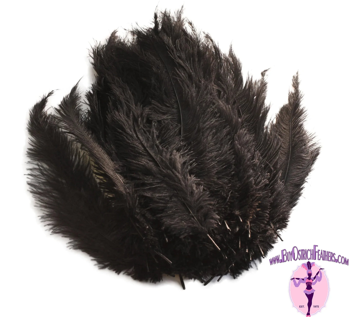Ostrich Feather Rental 16-20" (Black) - 250pcs - Buy Ostrich Feathers