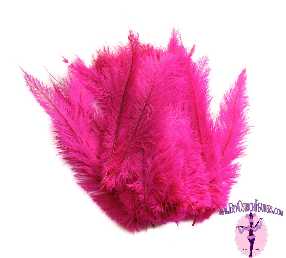 Ostrich Feather Spad Plumes 16-20" (Fuschia) - Buy Ostrich Feathers