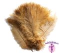 Load image into Gallery viewer, Ostrich Feather Spad Plumes 16-20" (Gold) - Buy Ostrich Feathers
