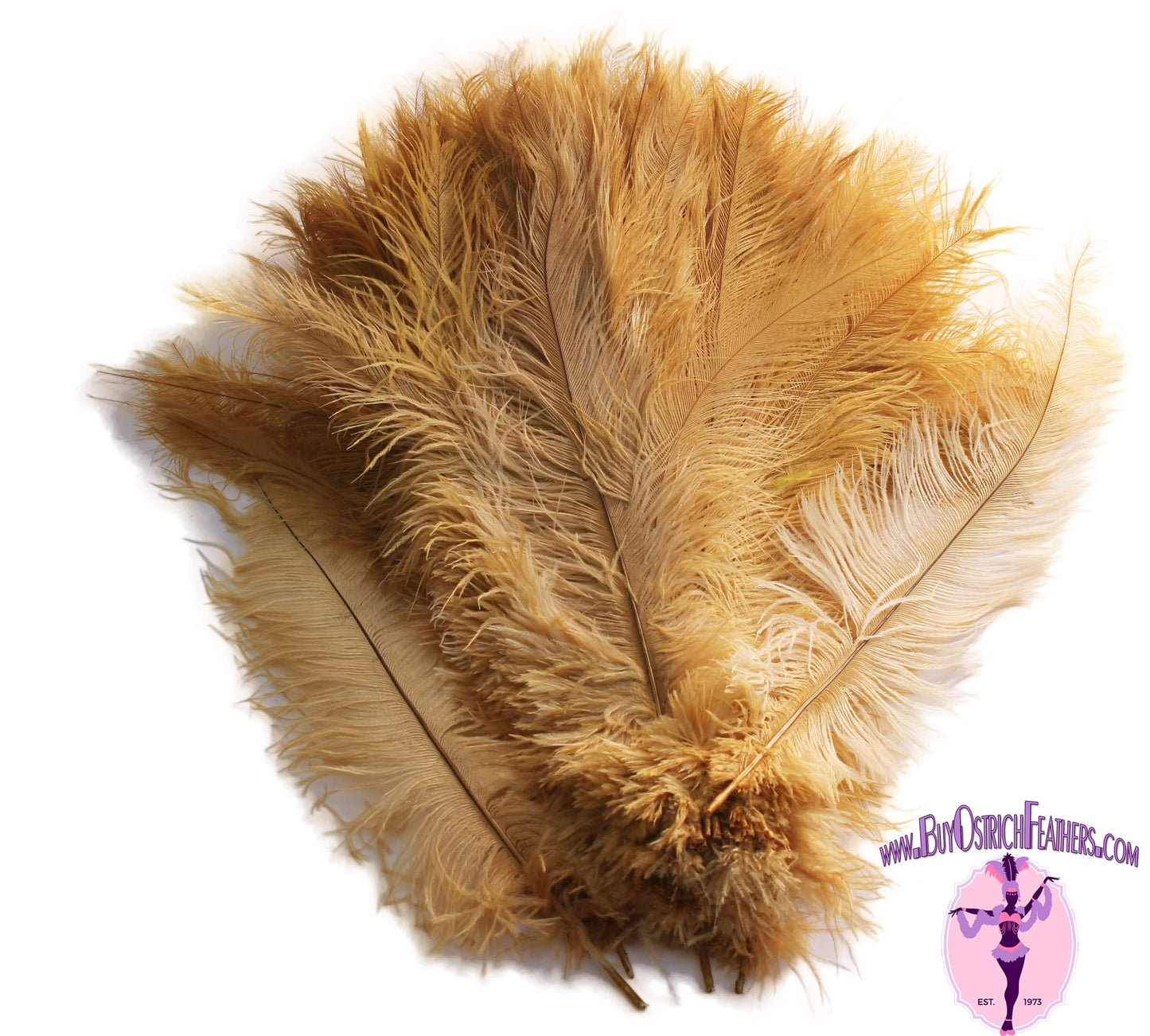 Ostrich Feather Spad Plumes 16-20" (Gold) - Buy Ostrich Feathers