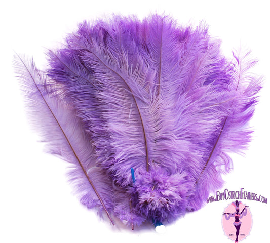 Ostrich Feather Spad Plumes 16-20" (Lavender) - Buy Ostrich Feathers