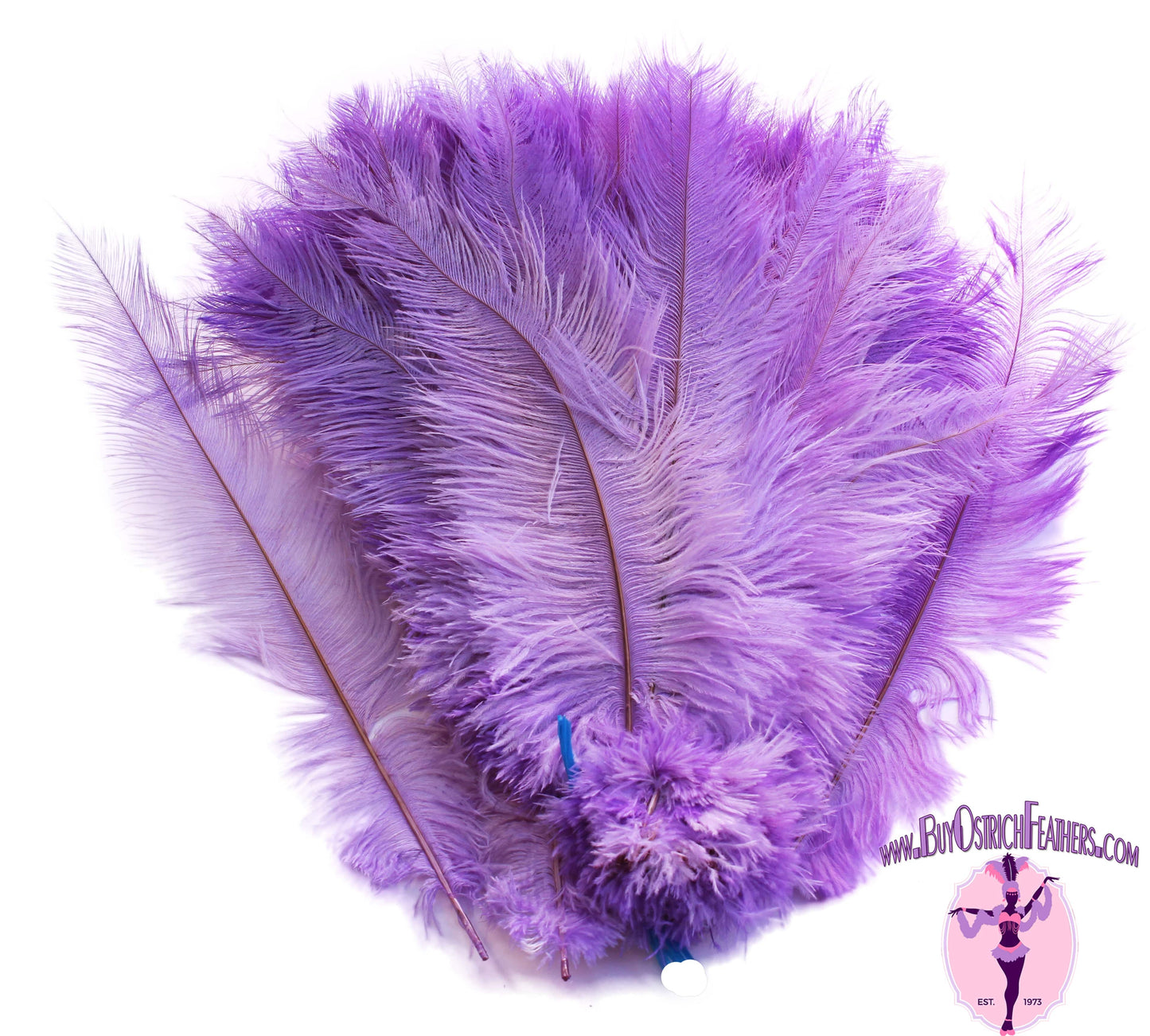 
                  
                    Ostrich Feather Spad Plumes 16-20" (Lavender) - Buy Ostrich Feathers
                  
                