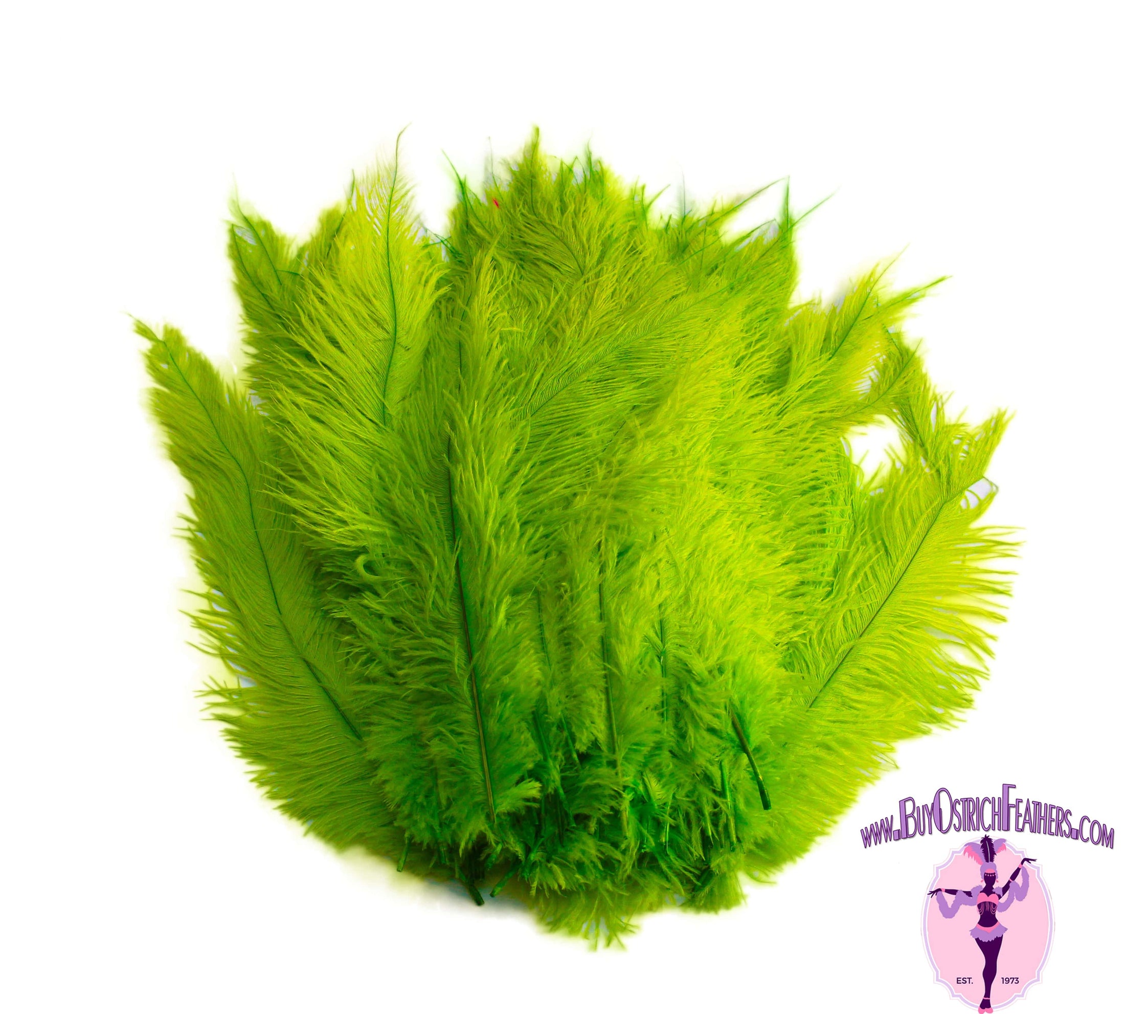 Ostrich Feather Spad Plumes 16-20" (Lime Green) - Buy Ostrich Feathers