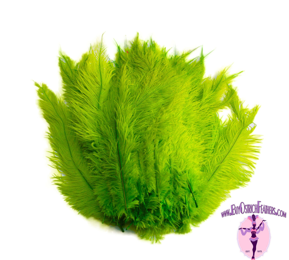 Ostrich Feather Spad Plumes 16-20" (Lime Green) - Buy Ostrich Feathers