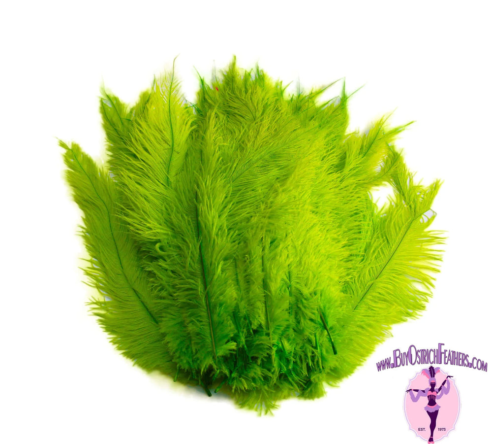 Ostrich Feather Rental 16-20" (Lime Green) - 250pcs - Buy Ostrich Feathers