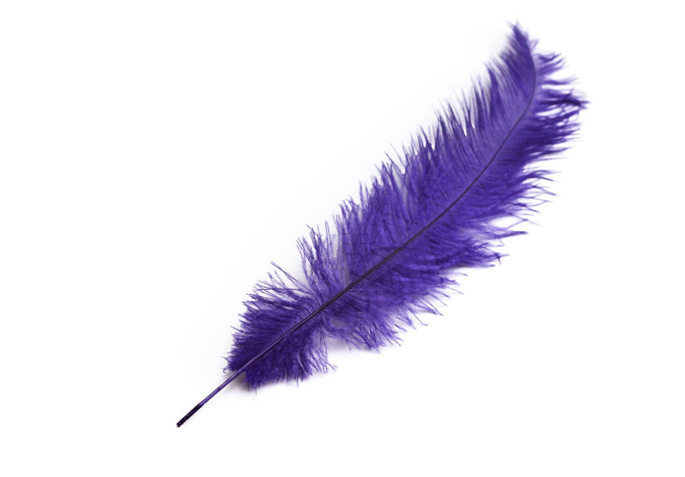 
                  
                    Ostrich Feather Spad Plumes 16-20" (Purple) - Buy Ostrich Feathers
                  
                