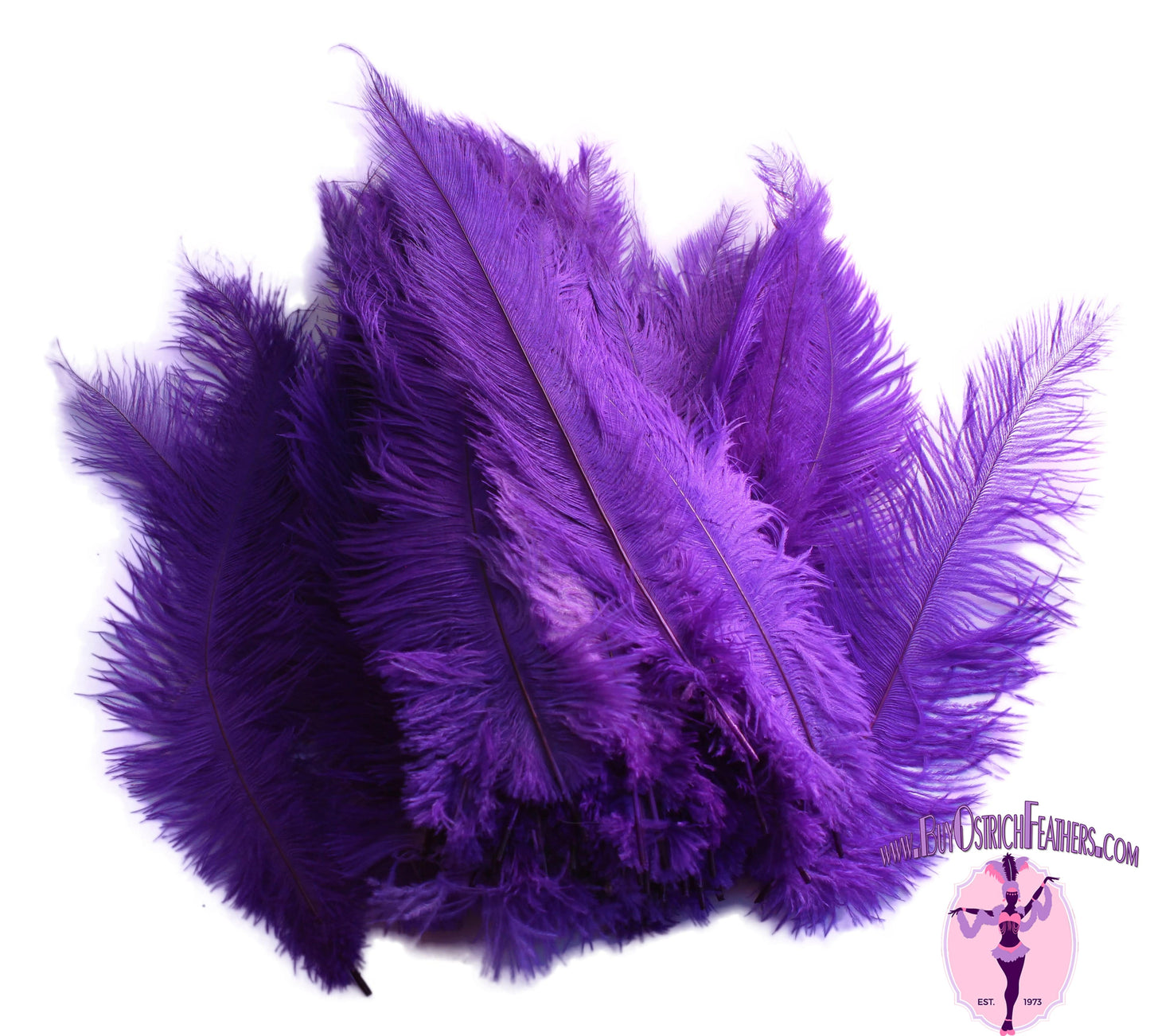 Ostrich Feather Spad Plumes 16-20" (Purple) - Buy Ostrich Feathers