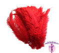 Load image into Gallery viewer, Ostrich Feather Spad Plumes 16-20" (Red) - Buy Ostrich Feathers
