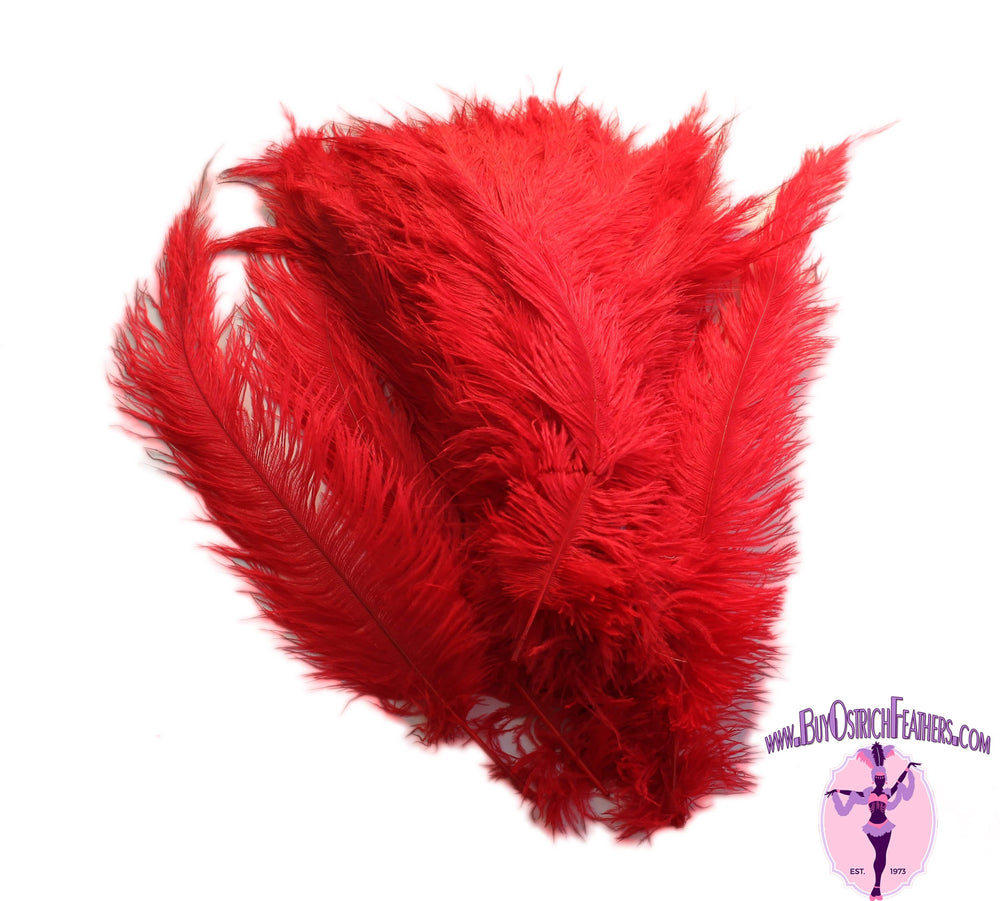 Ostrich Feather Spad Plumes 16-20" (Red) - Buy Ostrich Feathers
