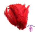 Load image into Gallery viewer, Ostrich Feather Rental 16-20" (Red) - 250pcs - Buy Ostrich Feathers
