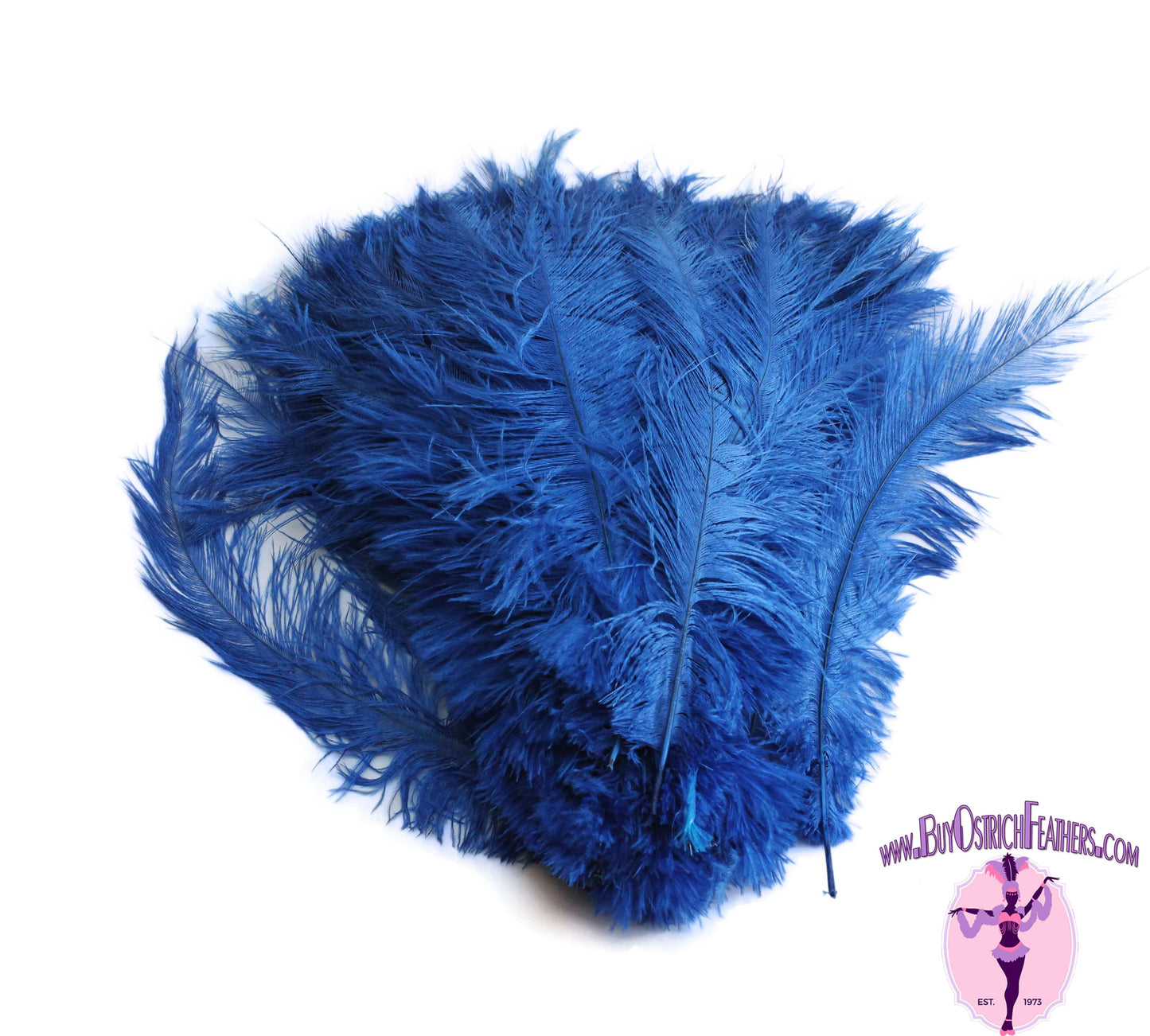 Ostrich Feather Spad Plumes 16-20" (Royal Blue) - Buy Ostrich Feathers