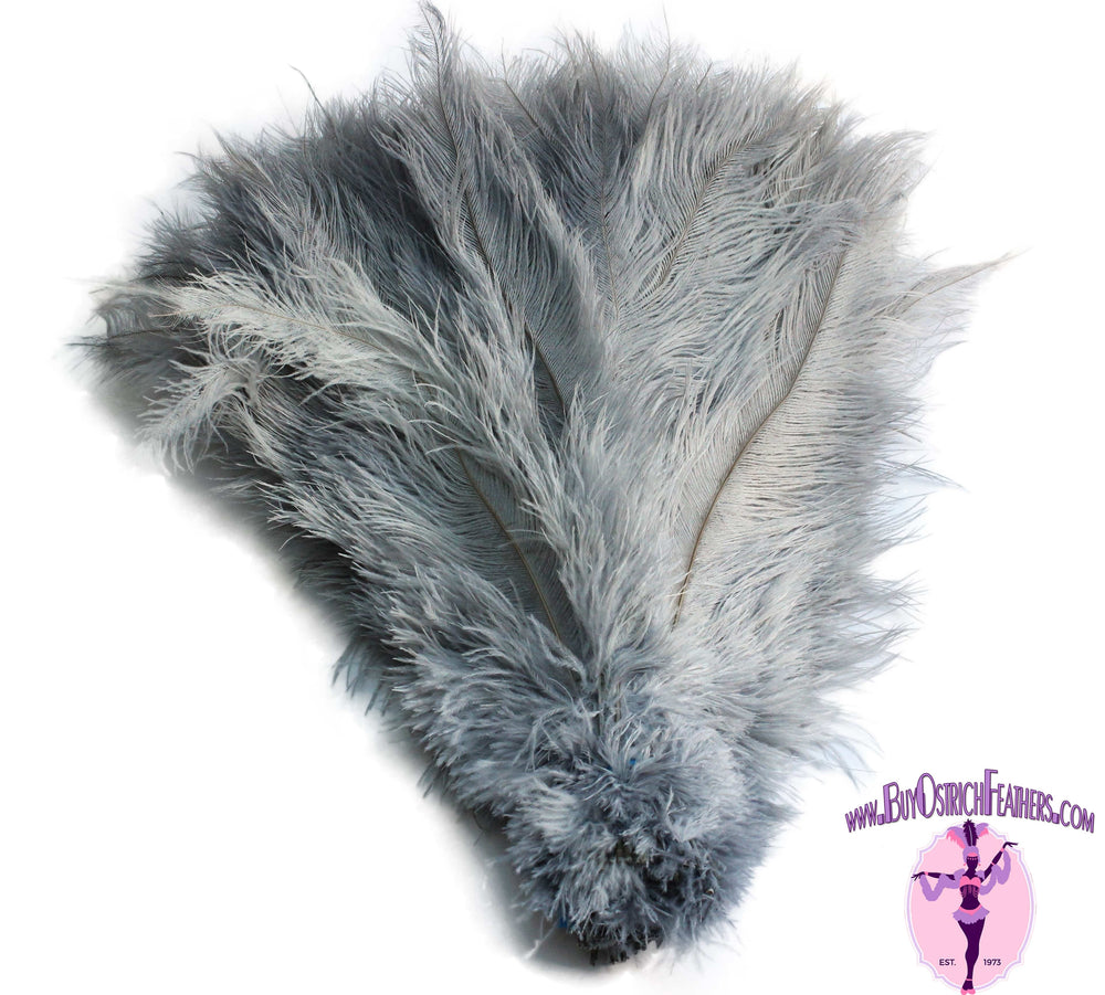 Ostrich Feather Spad Plumes 16-20" (Silver/Grey) - Buy Ostrich Feathers
