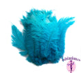 Load image into Gallery viewer, Ostrich Feather Spad Plumes 16-20" (Turquoise) - Buy Ostrich Feathers
