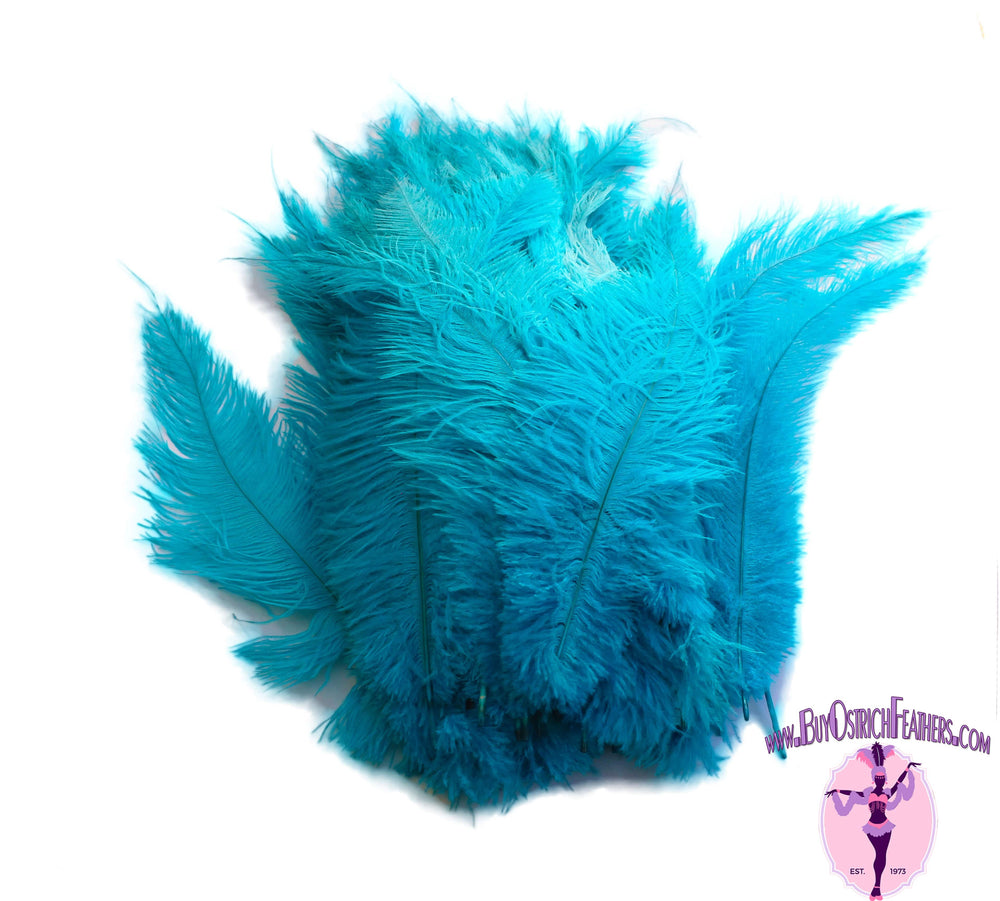 Ostrich Feather Spad Plumes 16-20" (Turquoise) - Buy Ostrich Feathers