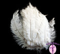 Load image into Gallery viewer, Ostrich Feather Spad Plumes 16-20" (White) - Buy Ostrich Feathers
