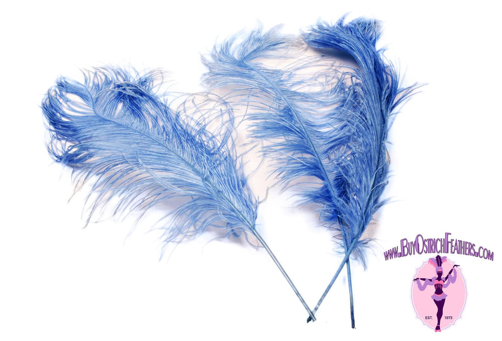 Ostrich Feather Tail Plumes 11-14" (Baby Blue) - Buy Ostrich Feathers