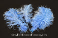 Load image into Gallery viewer, Ostrich Feather Tail Plumes 11-14" (Baby Blue) - Buy Ostrich Feathers
