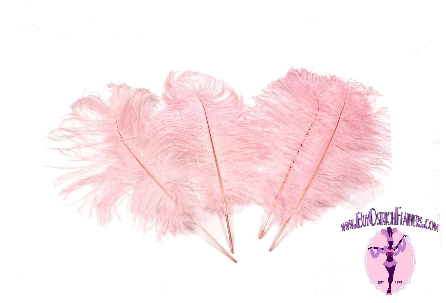 Ostrich Feather Tail Plumes 11-14" (Baby Pink) - Buy Ostrich Feathers
