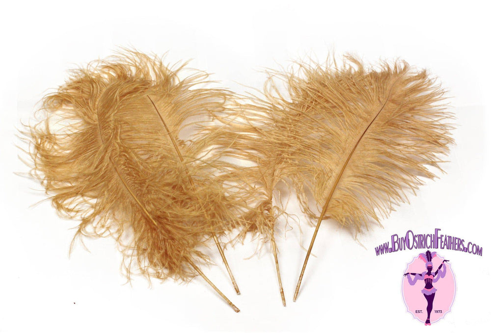 Ostrich Feather Tail Plumes 11-14" (Gold) - Buy Ostrich Feathers