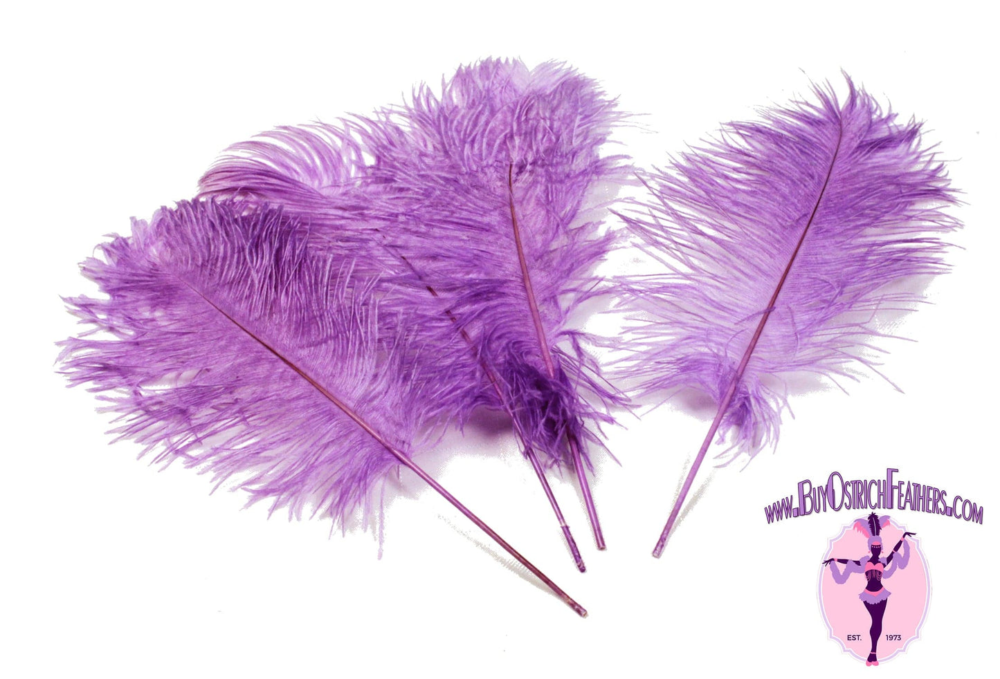 Ostrich Feather Tail Plumes 11-14" (Lavender) - Buy Ostrich Feathers