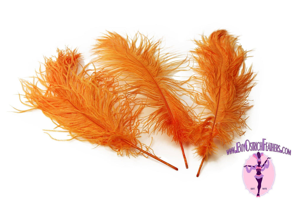 Ostrich Feather Tail Plumes 11-14" (Orange) - Buy Ostrich Feathers