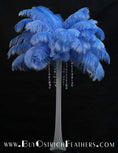 Load image into Gallery viewer, Ostrich Feather Tail Plumes 13-16" (Baby Blue) - Buy Ostrich Feathers
