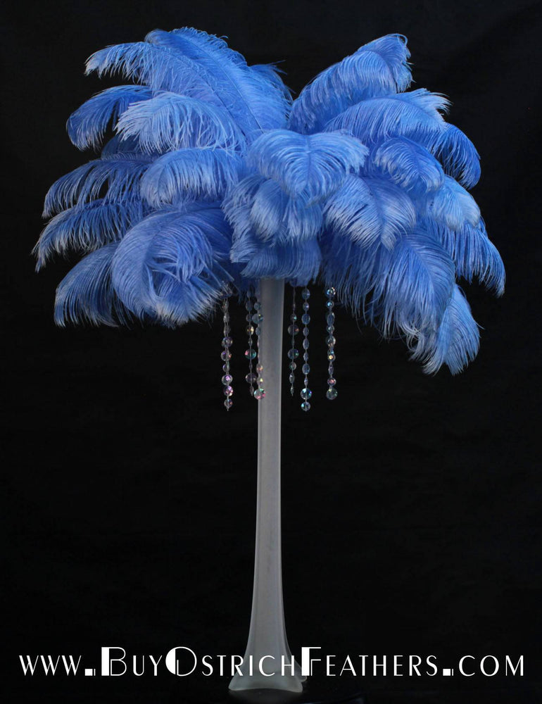 Ostrich Feather Tail Plumes 13-16" (Baby Blue) - Buy Ostrich Feathers