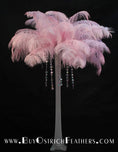 Load image into Gallery viewer, Ostrich Feather Tail Plumes 13-16" (Baby Pink) - Buy Ostrich Feathers
