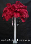 Load image into Gallery viewer, Ostrich Feather Tail Plumes 13-16" (Burgundy) - Buy Ostrich Feathers
