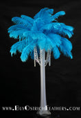 Load image into Gallery viewer, Ostrich Feather Tail Plumes 13-16" (Caribbean Blue) - Buy Ostrich Feathers
