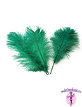 Load image into Gallery viewer, Ostrich Feather Tail Plumes 13-16" (Emerald Green) - Buy Ostrich Feathers
