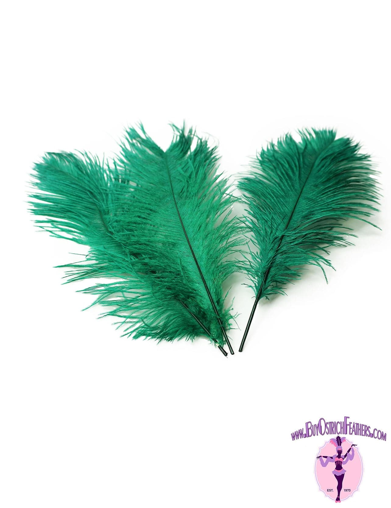 Ostrich Feather Tail Plumes 13-16" (Emerald Green) - Buy Ostrich Feathers