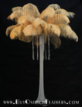 Load image into Gallery viewer, Ostrich Feather Tail Plumes 13-16" (Gold) - Buy Ostrich Feathers
