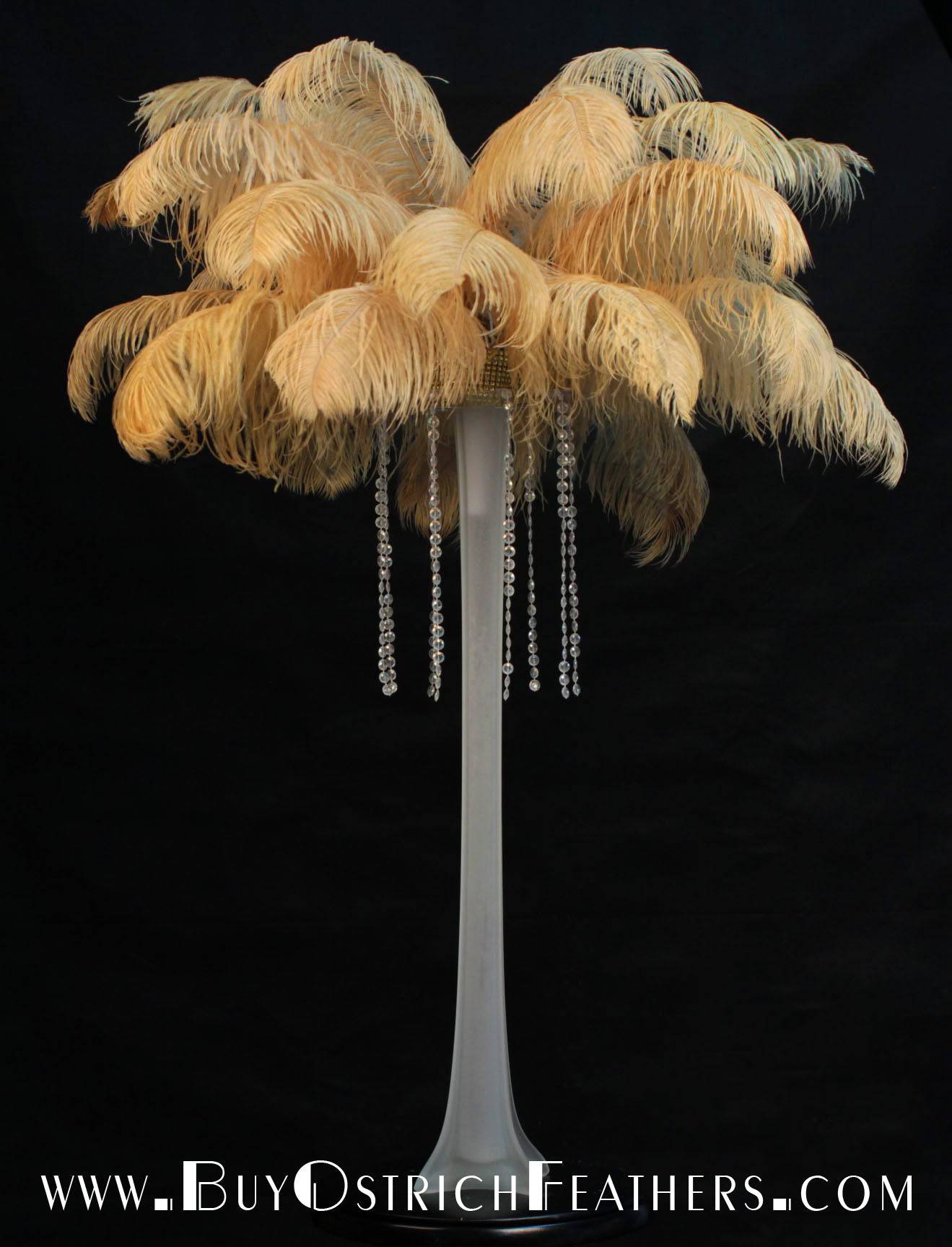 Ostrich Feather Tail Plumes 13-16" (Gold) - Buy Ostrich Feathers