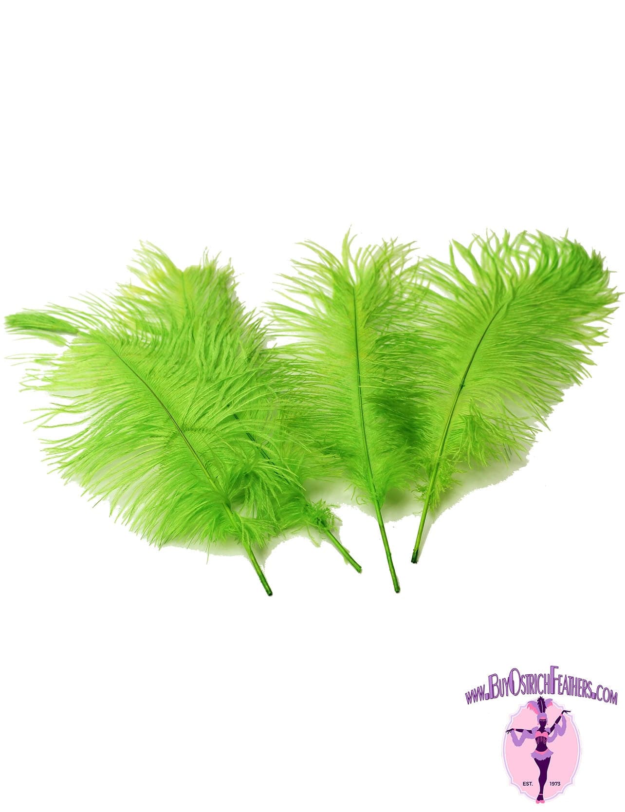 Ostrich Feather Tail Plumes 13-16" (Lime Green) - Buy Ostrich Feathers