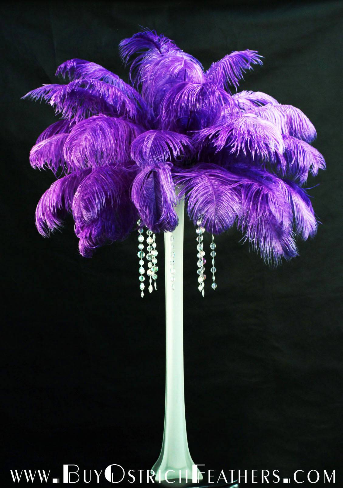 Ostrich Feather Tail Plumes 13-16" (Purple) - Buy Ostrich Feathers