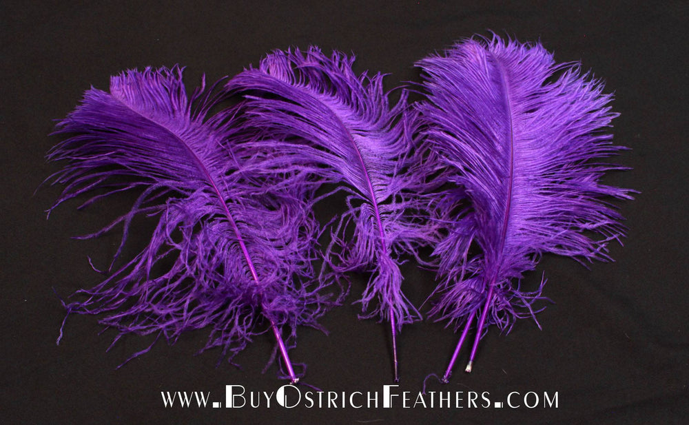 
                  
                    Ostrich Feather Tail Plumes 13-16" (Purple) - Buy Ostrich Feathers
                  
                