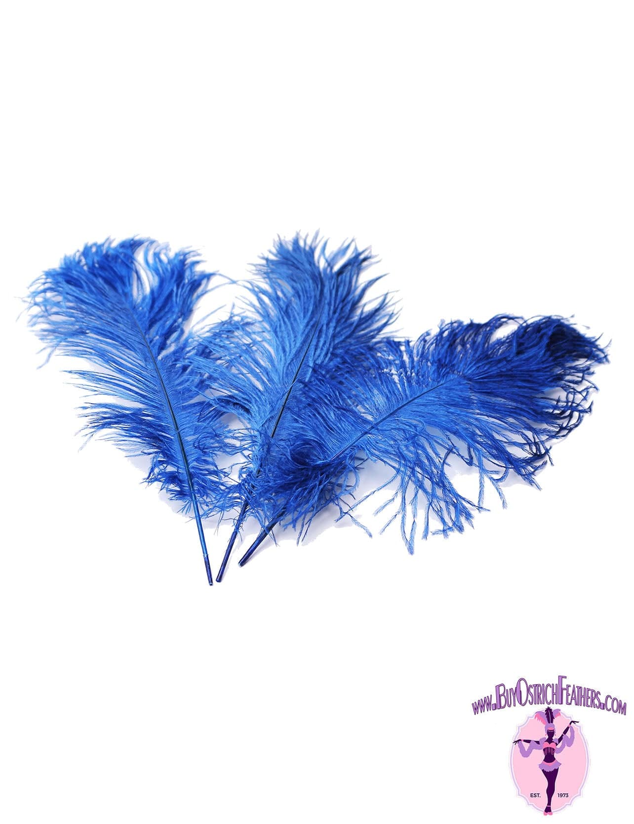 Ostrich Feather Tail Plumes 13-16" (Royal Blue) - Buy Ostrich Feathers