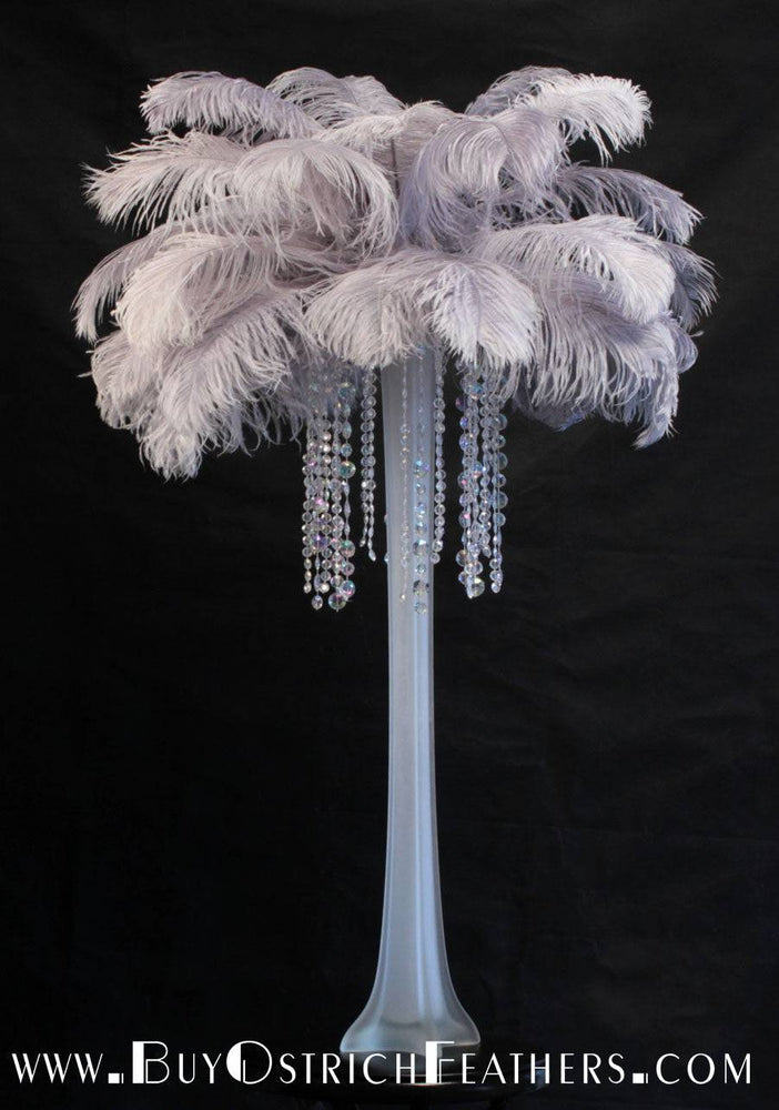 Ostrich Feather Tail Plumes 13-16" (Silver) - Buy Ostrich Feathers