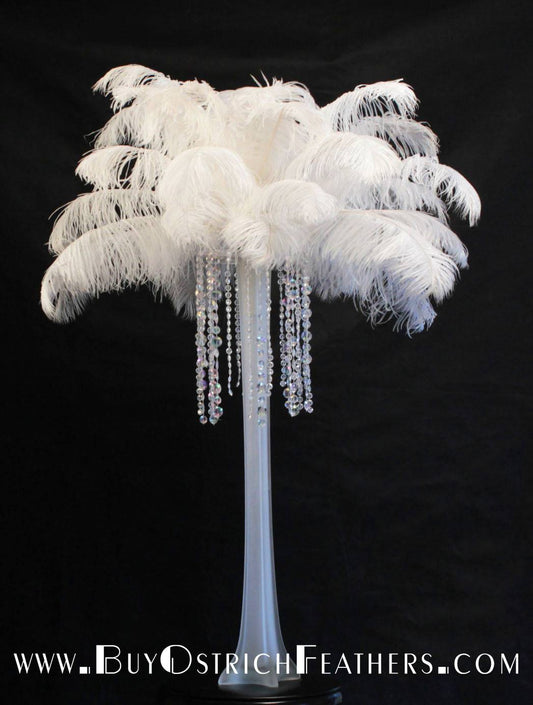 Ostrich Feather Tail Plumes 13-16" (White) - Buy Ostrich Feathers