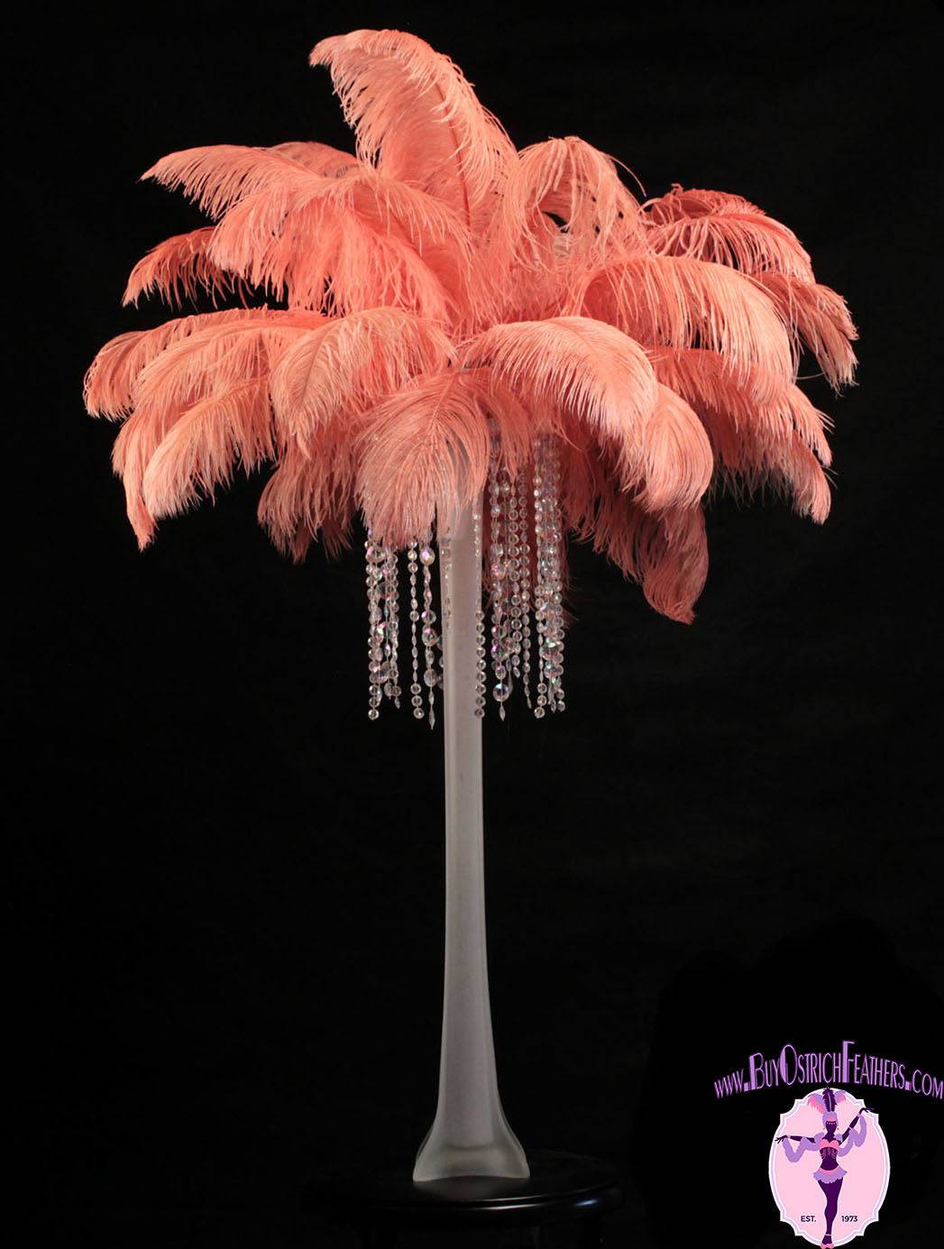 Ostrich Feather Tail Plumes 15-18" (Apricot) - Buy Ostrich Feathers