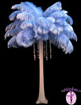 Load image into Gallery viewer, Ostrich Feather Tail Plumes 15-18" (Baby Blue) - Buy Ostrich Feathers
