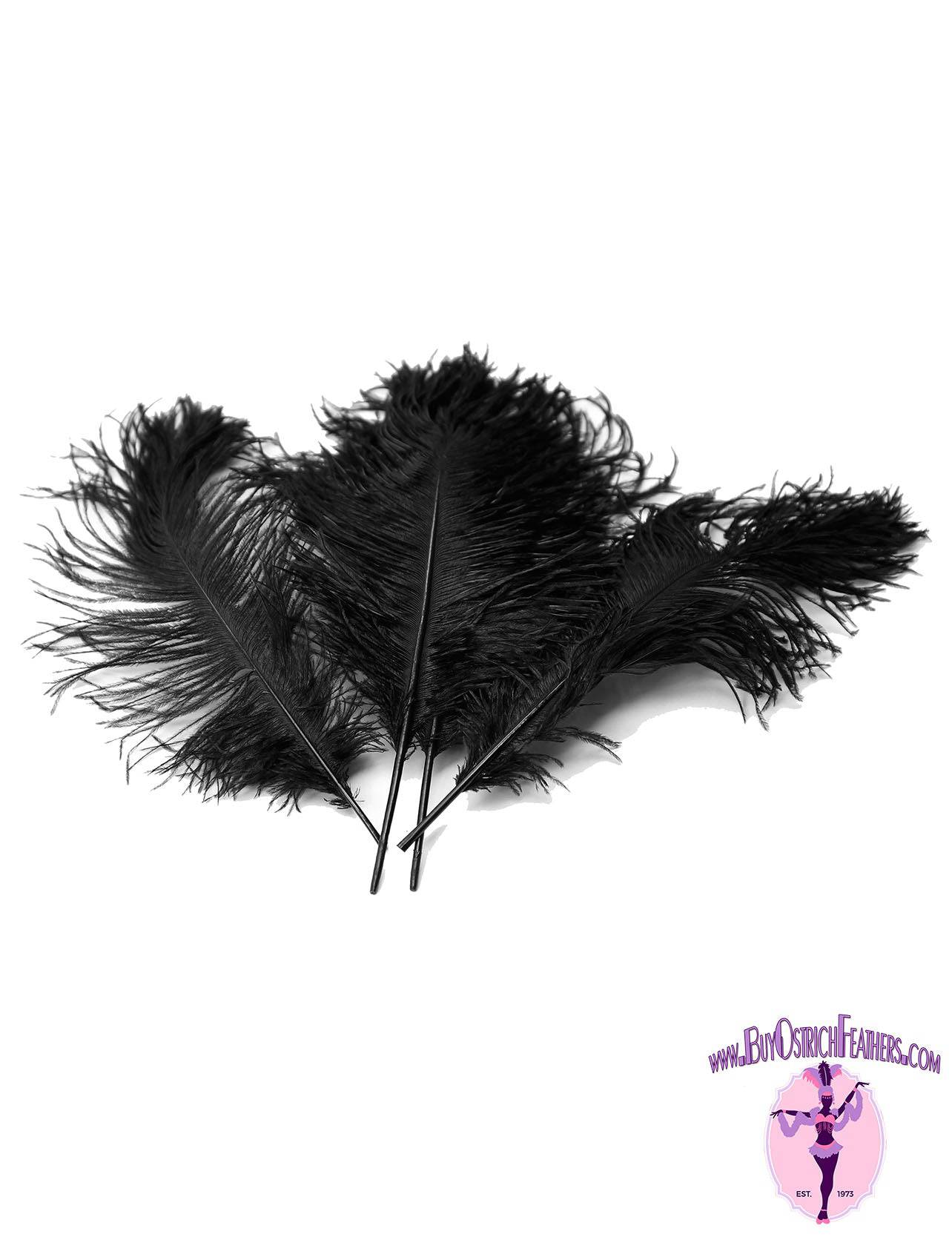 Ostrich Feather Tail Plumes 15-18" (Black) - Buy Ostrich Feathers