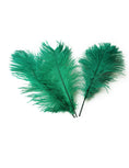 Load image into Gallery viewer, Ostrich Feather Tail Plumes 15-18" (Emerald Green) - Buy Ostrich Feathers
