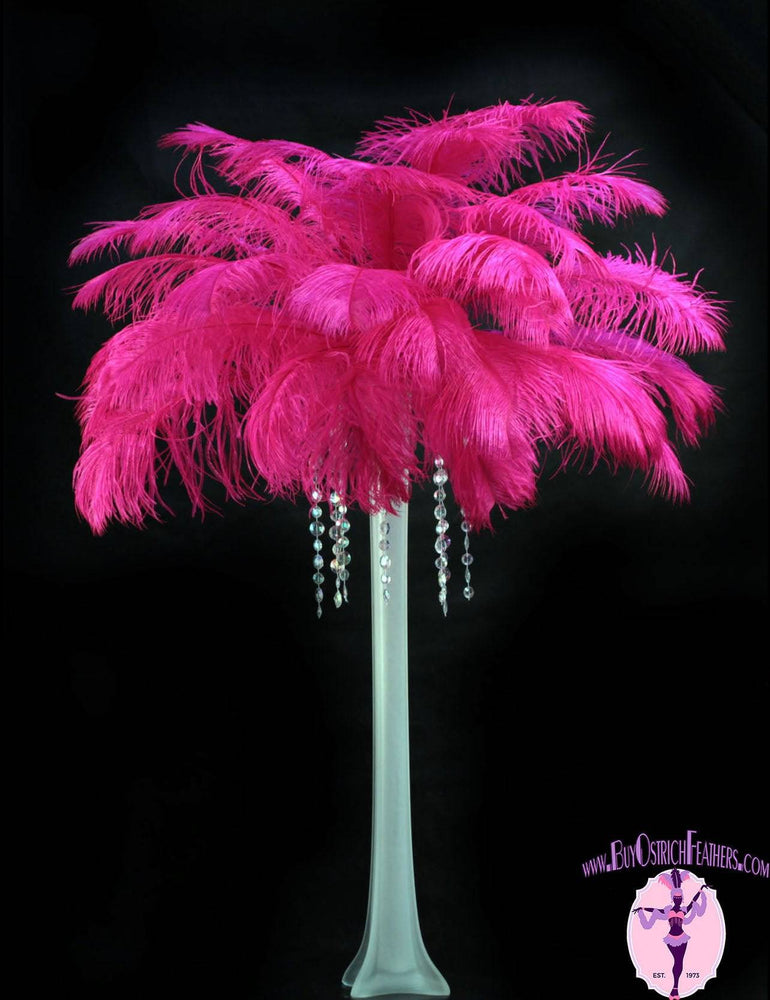 Ostrich Feather Tail Plumes 15-18" (Fuchsia) - Buy Ostrich Feathers